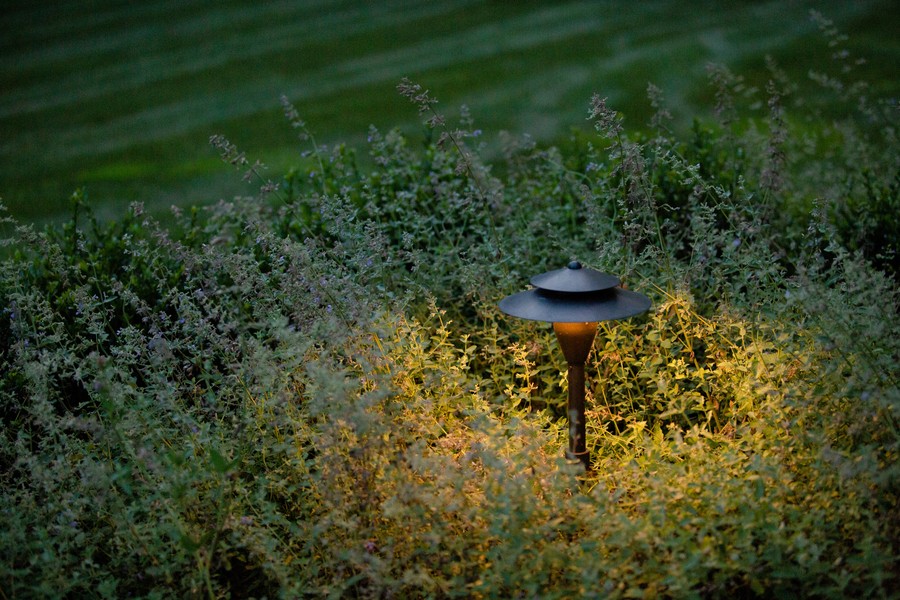 A pathway landscape light illuminating plants after dusk. 