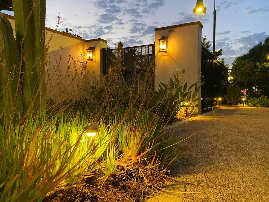 A gate to a private residence with plants and a cactus illuminated by outdoor lighting. 