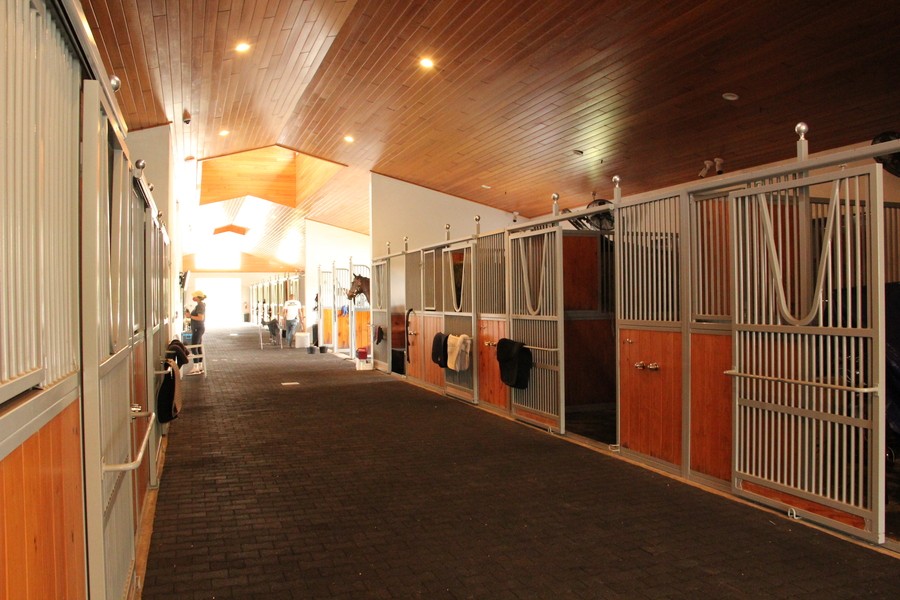 A stable with recessed equestrian lighting in the wooden paneled ceiling. Horses are visible in the distance.